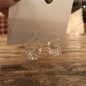 South Korea Dongdaemun Earrings Female Elegant Simple Crystal Circle Earrings Fancy Mori Internet Influencer Frosty Style Earrings
