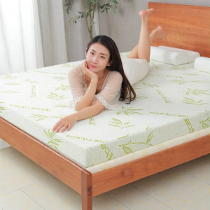 High Density Thick Firm Foam Mattress Single