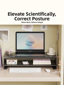 Elevating Desk Organizer Stand