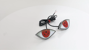 2pcs Motorcycle LED License Plate Lamp 12V Tail Signal Lamp Eagle Eye Warning Flash Driving Light Universal for Car Decoration