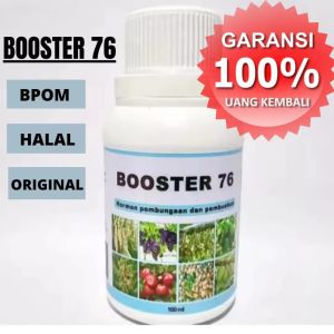 PUPUK BOOST (TERLARIS) penyubur pelebat buah pembesar pelebat buah BELI 3 GRTIS 1 BOTOL