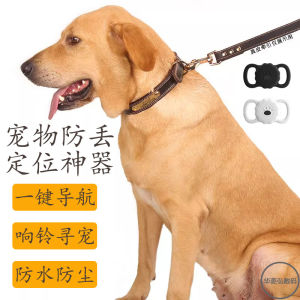 High-Survival Waterproof Dog GPS Locator with Leash Anti-Lost Tag Customizable Text Tracking No Charging Required