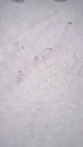 Vỏ số phụ 1 cầu xe ô tô 35 đến 6 tấn dày 175cm lắp cho các loại xe ben phổ biến lỗ dưới phi 30 EQ145