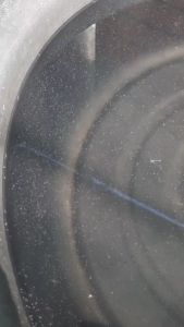 อาหารไรแดงน้ำใส BooM Fast ทำง่าย บูมง่าย ไม่ต้องทำน้ำเขียว