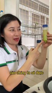 Dầu quả Bơ ép lạnh Pơ Lang 10ml/ 30ml dưỡng mềm da chống lão hóa giảm vết rạn