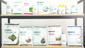 BS09 Ryzen Ngừa Héo Xanh Lở Cổ Rễ 100g 250g 500g - Diệt Nấm Bệnh Xanh Lá Khoẻ Cây - Bác Sĩ Cây Xanh