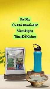 Trà Lá Khôi Tía - Giảm đau dạ dày giảm viêm loét dạ dày ức chế vi khuẩn HP - 40 Túi Lọc - Trà Đông Y Việt