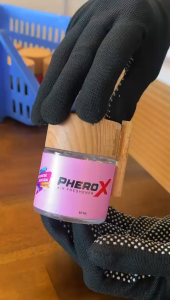 PHERO X AIR FRESHENER - JAPANESE SAKURA ( 50ML CAP KAYU CLEAR )