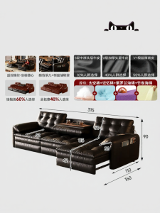 MEIZHAISHENGHUO | Multifunction Leather Sofa Bed Electric