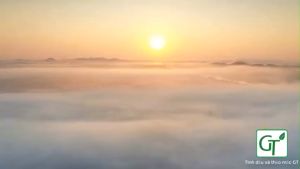 Dầu Hạnh Nhân Làm Đẹp 💖𝙁𝙍𝙀𝙀𝙎𝙃𝙄𝙋💖 Dầu Hạnh Nhân Nguyên Chất 100ml - Hàng Cao Cấp