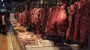 20Pcs 304 Stainless Steel Meat Hanging Hook S-Shaped Sharp End Hanging Wax Hook Dry Sausage Hook Roast Duck Hook