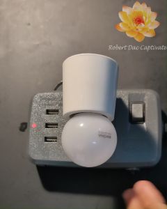 Bóng đèn LED trang trí 1W đui E27 phổ thông tuổi thọ >10000 giờ BH 2 năm