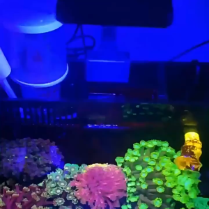 LED Full Spectrum Aquarium Light Nano Fish Tank Light with Timer RGB Plant Light Sunrise-Daylight-Moonlight Mode DIY Color Customization 鱼缸灯