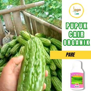 Pupuk Organik Cair Pare 100 Ml Booster Pemicu Agar Tumbuh Lebat Gemuk Segar By Jagotani Yogyakarta