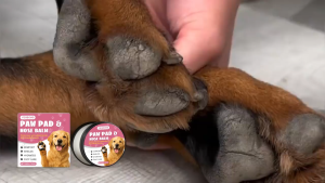 【Ready Stock】YEGBONG Dog Paw Balm Pet Nose Paw Pad Moisturizer Deep Nourishing Crack Repair Dry Paws Moisturizing Shea Butter Aloe Vitamin E For Dogs Cats Pet Paw Care 50g