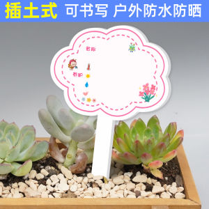 Handwritten DIY PVC Plant Care Label Garden Lovers Small Pot Sign Nursery School Succulent Green Ivy Green Plant Label Stick in Soil