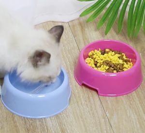 Bát ăn nhựa đơn cho chó mèo  phụ kiện chó mèo