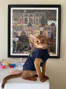 Warm Pet Clothes Small Dog Base Shirt Tweed Pattern Snauzer Puppy Dog Coat Cat Clothing Pet Supplies Winter Thermal Outfit