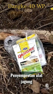 DANGKE 40 WP 100 Gram DGW Insektisida Metomil Andalan Petani Obat Pengendali Hama Ulat dan Serangga