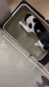 GCATS Stainless Cat Litter Box Large Oversized