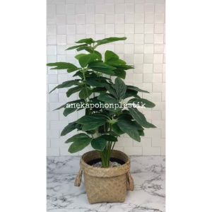 Tanaman Daun Pohon Hias Anubias X18 Semilatex Artificial Pot Dasar Hitam Plastik
