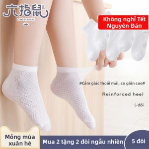 LIUZHISHU | Spring Summer Children Short Socks