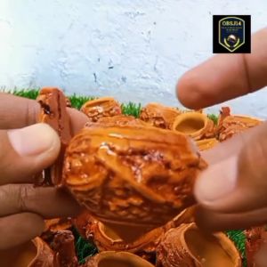 paket hemat 2 cepuk fiber cetakan mewah tempat pakan atau minum burung kecil