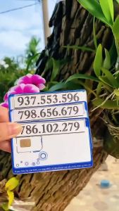 Sim Vinaphone Số Đẹp Đầu 08886 091 Dễ Nhớ Sóng 5G Chỉ từ 175k Trả Trước [Sim Phải ĐK Chính Chủ]