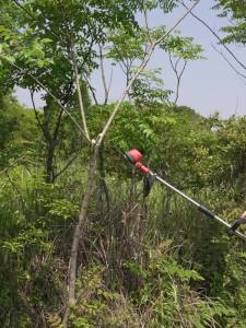 Grass Cutter Machine Lawn Mower Grass Trimmer Garden Tools Grass Trimmer Cutter Copper Core Motor Wireless Unbound 割草机