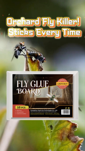 1 Pack Heavy Duty Fly Traps - 2x Stronger Adhesive Targets Flies Moths & Small Flying Pests Disposable for Garden & Kitchen