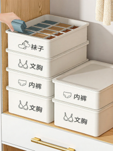XINGYOU | Three-in-one Underwear Storage Organizer
