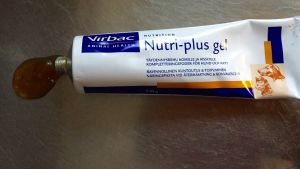 Nutri plus Gel dinh dưỡng cao cấp dành cho chó mèo - Gel dinh dưỡng Virbac - Pháp - 120g