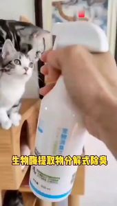 Cat Spray Pet Deodorant Spray 500ml Pet Antibacterial Deodorant Spray Fragrance/ 宠物猫咪狗狗除臭剂 宠物除味剂