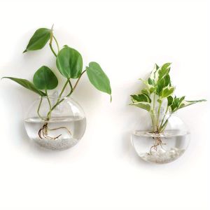 Chậu Trồng Cây Thủy Canh Tự Tưới Bằng Kính Pha Lê Tròn Thủ Công Bộ 2/4/6 Cây Treo Tường Trang Trí Nhà Cửa Văn Phòng