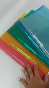 Dataflex Clear Sleeves / Map L Acco Folio DF-733 [12 PCS]