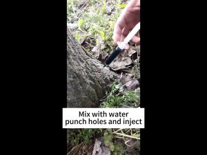 500G Tree Killing Powder/Remove Large Trees/Kill Weeds/灭树粉/除大树/灭杂草 (A)