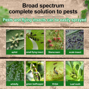 For 100 Types of Pests Insecticide racun serangga tanaman The worms and eggs die together Pesticides for plants 100% effective racun serangga perosak tanaman No harm to plants only insecticide racun serangga organik tanaman 植物杀虫剂