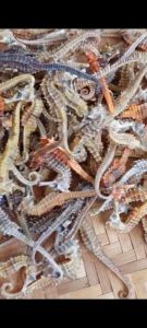 Cá ngâm rượu - cá khô size các loại từ 8-13cm