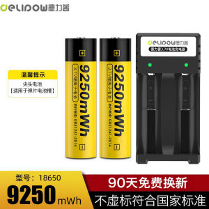 Delup 18650 Lithium Battery High Capacity 3.7V Rechargeable Headlamp Flashlight 4.2V Universal Charger Outdoor Camping Fishing