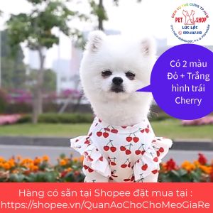 Váy cotton có Nơ cho chó mèo mùa xuân hè mùa thu phong cách Hawaii  Váy cotton cho thú cưng  Quần áo thú cho chó mèo