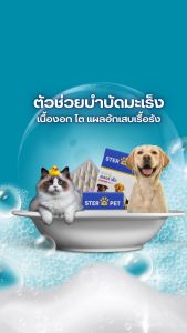 Ster Pet สเตอร์เพ็ท เนื้องอก มะเร็ง เห็นผลไวสำหรับหมาแมว