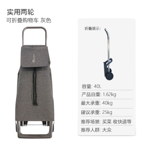 Large Capacity Two-Wheel Shopping Cart Foldable Rolser Vegetable Buying Car Pull Rod Cart Portable Family Storage Tools