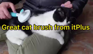 Pet Hair Removal Comb Pet Grooming Cleaning Hair Fur Massage Brush Tool One-Button Hair Removal Cat Brush Dog Brush