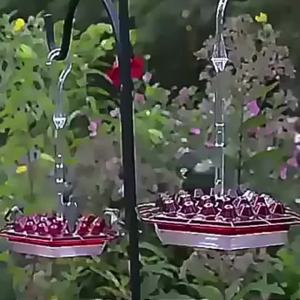 Hummingbird Feeders | Outdoor Hang2Pc Leak-Proof Feeder W/ 30 Feeding Ports | Built-in Moat Feeding-Weather Proof & Easy-Fillin