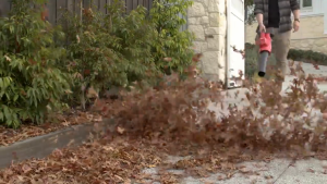 MILWAUKEE M18 FUEL 600 CFM DUAL TWIN BATTERY BLOWER M18 F2BL-0 Cordless Brushless Gardening