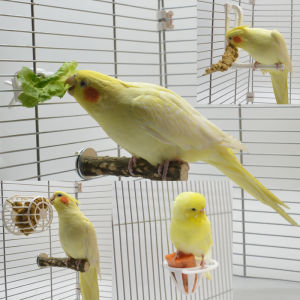 Tiger Skin Xuanfeng Peony Xiaojin Taihe Yangshang Kake Parrot Vegetable Fruit Fork String Snack Cuttlefish Skeleton Clip