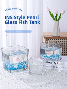CHONGXIAOSHUAI | Decorative Mini Desktop Glass Aquarium
