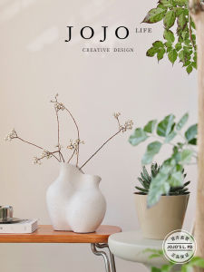 JOJOS L. Nordic Creative Design Large Flower Vase Ins Planting Hydroponics Thick Sand | Boundary Ceramic Flower Bottles Home Decor