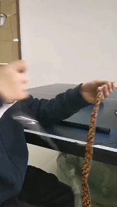 1.5M Grip Raket Padel / Grip Gambar Bermotif Bunga / Tenis Padel Badminton