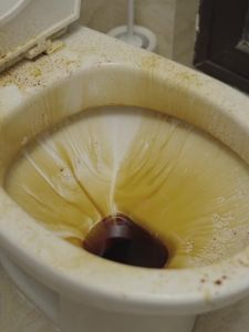 Heavy Duty Stain Remover Toilet Bowl Floor Bathroom Cleaner Cement Tile Mop Sabun Lantai Badang 马桶清洁剂 浴室清洁